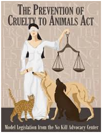 The Prevention of Cruelty to Animals Act: An Insight - LexQuest Foundation