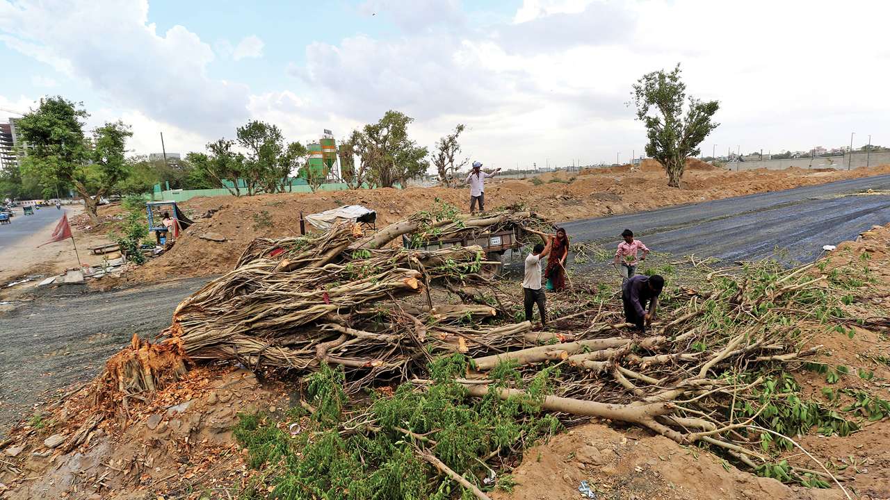 Essay on Role of Public in Environmental Governance in India