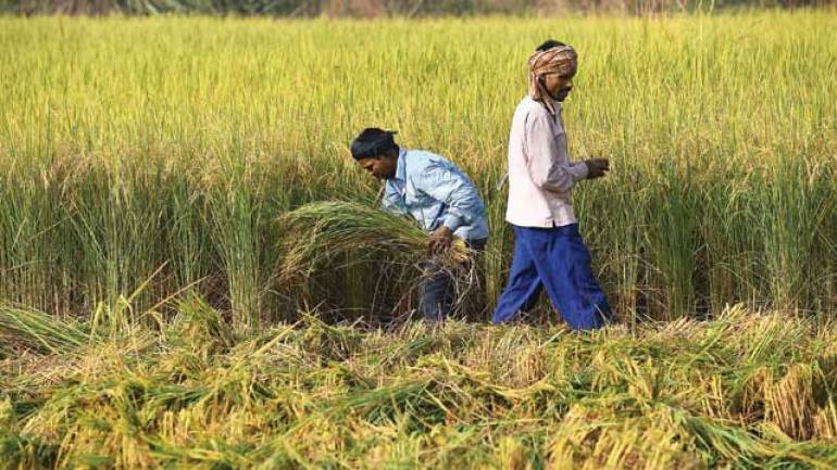 Searching for Greener Pastures: Agrarian Distress in India
