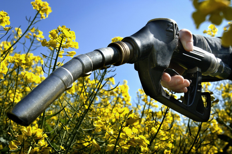 Ethanol Production in India: Green Fuel Policy for a Cleaner Future