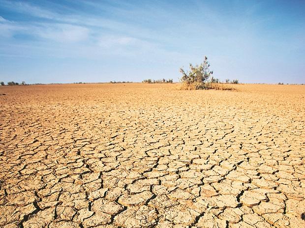 The Policy Dialogue: Lessons in Climate Change Mitigation for India