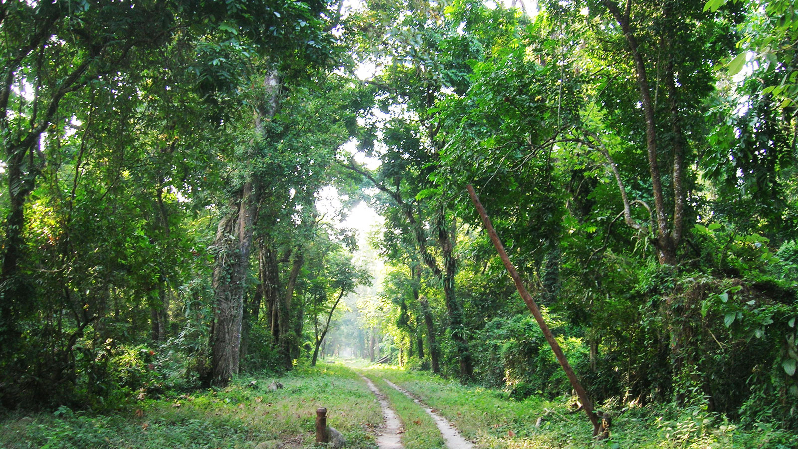 The Scheduled Tribes and Other Traditional Forest Dwellers (Recognition of Forest Rights) Act, 2006