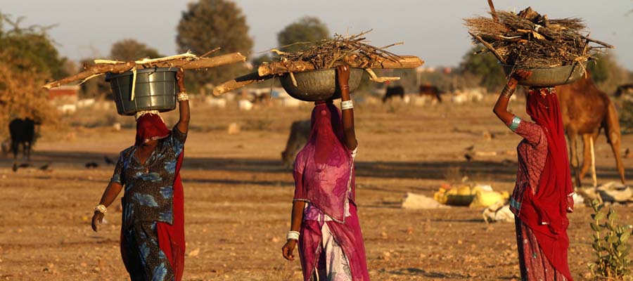 Essay on Women and Commons in India: The need to rethink the relationship between sustainability, land and women’s economic empowerment